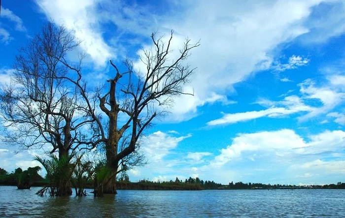 Về Cà Mau trải nghiệm đầm Thị Tường